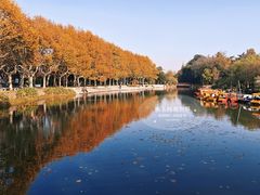 -泰州凤城河风景区-泰山公园