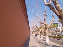 -苏州文庙(姑苏区)