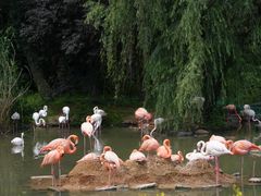 -宁波野生动物园