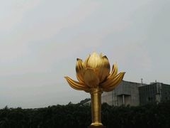 -金莲花广场