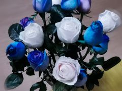 -昆明国际花卉拍卖交易中心