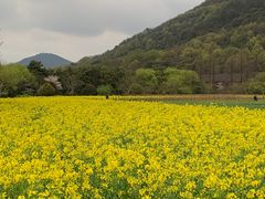 -八卦田遗址公园
