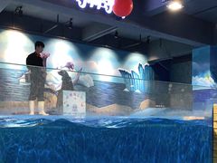 -顺德南宏海立方海洋公园
