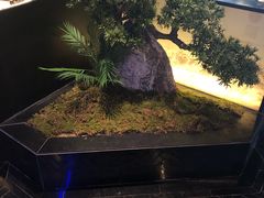 大堂-绿茶餐厅(成都大悦城店)