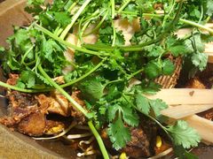 石锅草鱼-蜀留香石锅鱼(六顺街店)