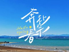 -城池·洛阳菜
