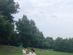 -长白岛森林公园