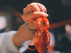 -巴厘龙虾·榜首油焖大虾(洞庭·艺术洋房店)