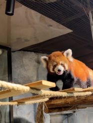 -Zoolung Zoolung动物主题公园(海信广场店)