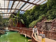 -呀路古热带植物园