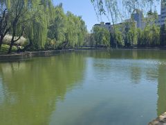 -团结湖公园