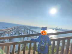 -星海湾跨海大桥