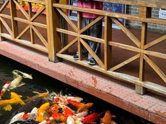 -侠成水上农庄(工业大道店)