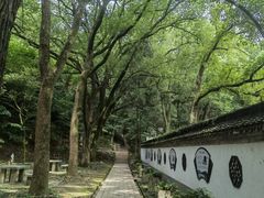 -上海佘山国家森林公园天马山园