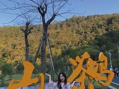 -火炉山森林公园