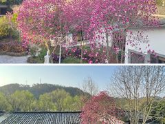 -明月山天沐温泉度假村