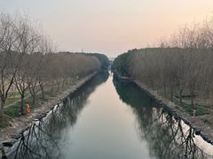 -广富林郊野公园
