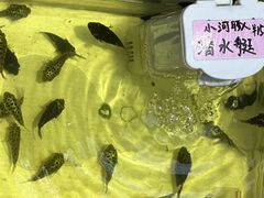 -桂林市花鸟市场