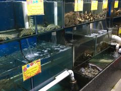 -蚝专家(北滘店)
