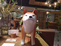 -柴务处·柴犬主题狗咖