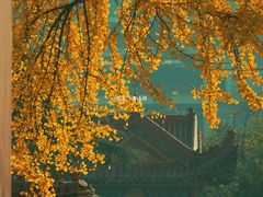 -宝通禅寺