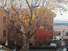 -思南书局(复兴中路店)