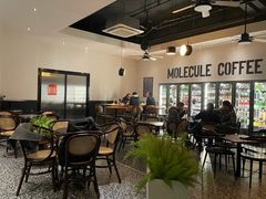 -MOLECULECOFFEE.MANDO 莫勒喝咖啡