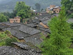 -杨家堂村