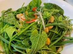 -巴依老爷新疆美食(魏公村店)
