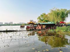 -老板恋上鱼(恒隆广场店)