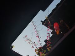 -青林口古镇