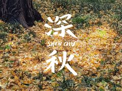 -颐和园