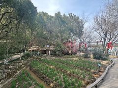 -天目湖山水园