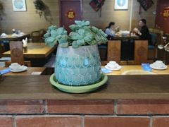 -云尊府云南菜·蒸汽石锅鱼(学清路店)