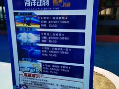 -秦皇岛乐岛海洋王国