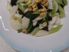 养生全素-津沽小院(天津之眼店)