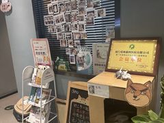 -御宝贝·A梦猫科宠物医院(国际猫友好医院)