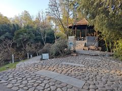 -菊花台公园