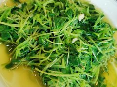 萝卜菜-旅宁大酒店
