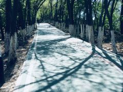 -水磨沟公园