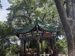 -古琴台