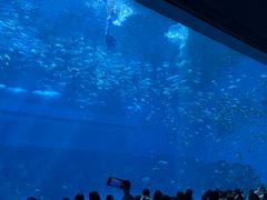 -南昌融创海世界