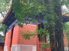 -北京国子监胡同