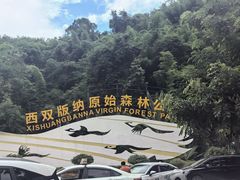 -西双版纳原始森林公园