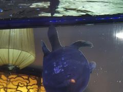-罍+村卤菜摊(罍街店)