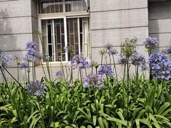 -云南师范大学(一二一西南联大校区)