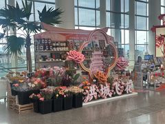 -南昌昌北国际机场
