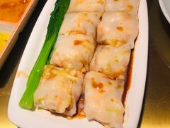 -南枝记