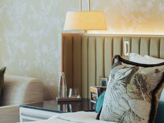 -新加坡文华东方酒店