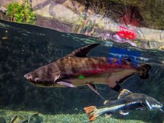 -太平洋海底世界